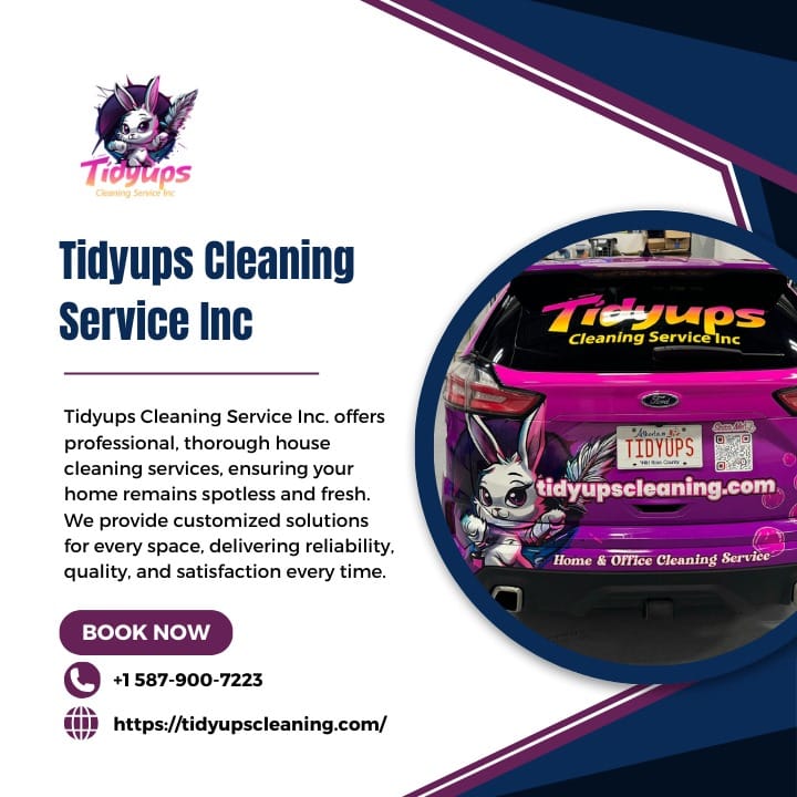 7 Reasons To Hire Professional Cleaners