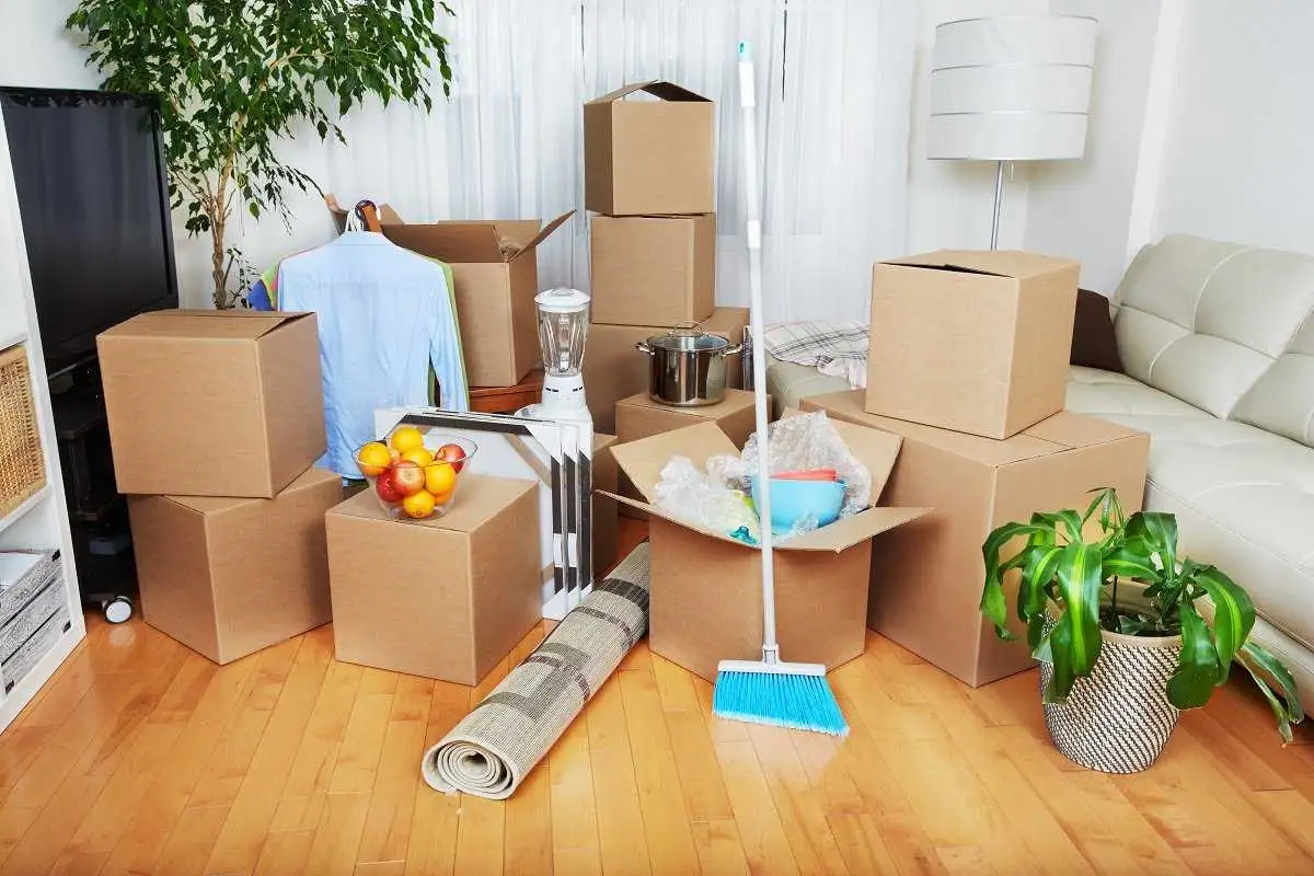 Move Out Cleaning Service