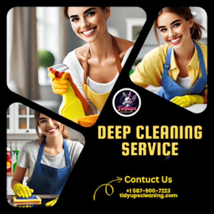 Tidyups Cleaning Service Inc