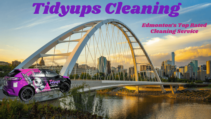 Move Out Cleaning & Recurring House Cleaning Services